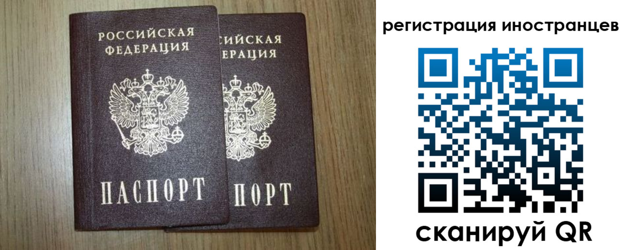 прописка для школы в Чистополье